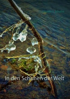 In den Schuhen der Welt (eBook, ePUB) - Schulze, Claudia J.