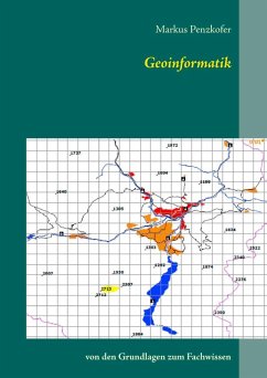 Geoinformatik (eBook, ePUB)