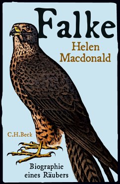 Falke (eBook, ePUB) - Macdonald, Helen