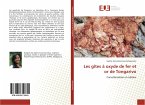 Les gîtes à oxyde de fer et or de Tongarivo