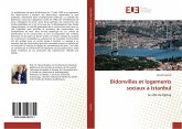 Bidonvilles et logements sociaux à Istanbul