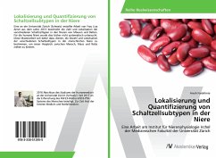 Lokalisierung und Quantifizierung von Schaltzellsubtypen in der Niere - Farokhnia, Aresh