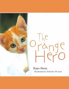 The Orange Hero - Stein, Kaye