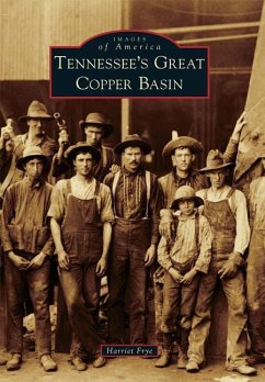 Tennessee's Great Copper Basin - Frye, Harriet
