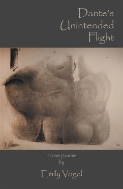 Dante's Unintended Flight - Vogel, Emily