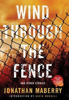 Wind Through the Fence - Maberry, Jonathan