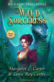 Wild Sorceress (Wild Sorceress Series, #1) (eBook, ePUB)