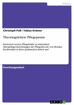 Theoriegeleitete Pflegepraxis (eBook, ePUB)