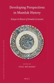 Developing Perspectives in Mamluk History: Essays in Honor of Amalia Levanoni