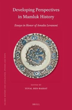 Developing Perspectives in Mamluk History: Essays in Honor of Amalia Levanoni