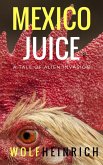 Mexico Juice (eBook, ePUB)