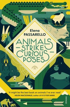 Animals Strike Curious Poses (eBook, ePUB) - Passarello, Elena