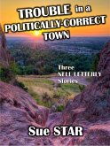 Trouble in a Politically-Correct Town (eBook, ePUB)