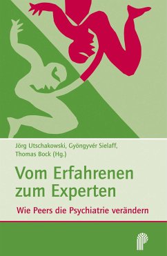 Vom Erfahrenen zum Experten (eBook, PDF)