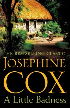 A Little Badness - Cox, Josephine