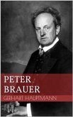 Peter Brauer (eBook, ePUB)