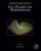 Cell Polarity and Morphogenesis (eBook, ePUB)