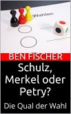 Schulz, Merkel oder Petry? (eBook, ePUB)
