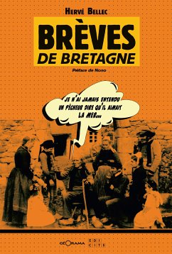 Brèves de Bretagne (eBook, ePUB) - Bellec, Hervé