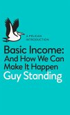 Basic Income (eBook, ePUB)
