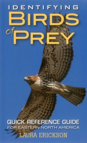 Identifying Birds of Prey (eBook, ePUB)