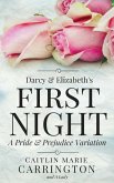 Darcy and Elizabeth's First Night: A Pride and Prejudice Variation (eBook, ePUB)
