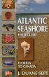 Atlantic Seashore Field Guide (eBook,... - Bild 1