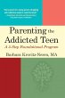Parenting the Addicted Teen (eBook,... - Bild 1