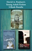 David A. Poulsen's Young Adult Fiction 3-Book Bundle (eBook, ePUB)