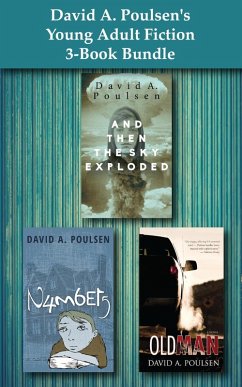 Cover David A. Poulsen's Young Adult Fiction 3-Book Bundle (eBook, ePUB)