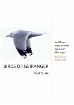 Birds of Geiranger - Glahn, Marius von