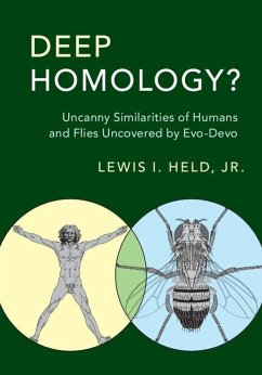 Deep Homology? (eBook, ePUB) - Lewis I. Held, Jr