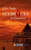 Seebrücke in Flammen (eBook, ePUB)