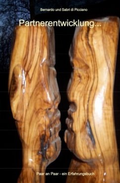 Cover Partnerentwicklung
