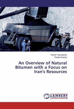 An Overview of Natural Bitumen with a Focus on Iran's Resources - Vasseghian, Yasser;Paydar, Pantea