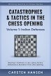 Catastrophes & Tactics in the Chess... - Bild 1