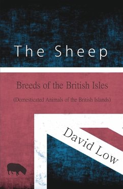 The Sheep - Breeds of the British Isles (Domesticated Animals of the British Islands) - Low, David