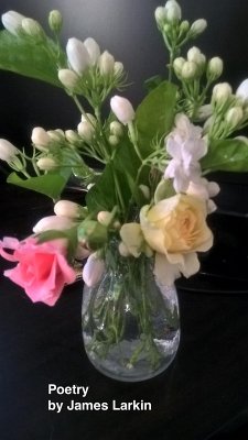 Poetry by James Larkin (eBook, ePUB) Cover Poetry by James Larkin (eBook, ePUB)