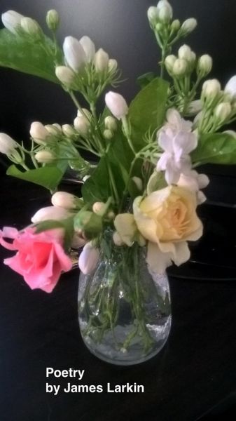 Poetry by James Larkin (eBook, ePUB)