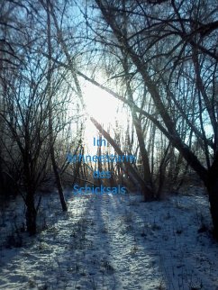 Im Schneesturm des Schicksals (eBook, ePUB) Cover Im Schneesturm des Schicksals (eBook, ePUB)