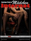Sexgeschichten: Unzüchtiges Treiben im Mädchen Internat 2 (eBook, ePUB)