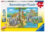 Ravensburger 078066 - Willkommen im Zoo, 2x24 Teile, Kinderpuzzle