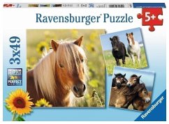 Ravensburger 080113 - Liebe Pferde, 3x49 Teile, Kinderpuzzle