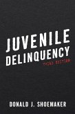 Juvenile Delinquency (eBook, ePUB)
