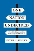 One Nation Undecided (eBook, ePUB)