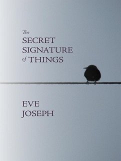 Secret Signature of Things (eBook, ePUB) - Joseph, Eve