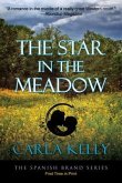 A Star in the Meadow (eBook, ePUB)