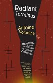 Radiant Terminus (eBook, ePUB)