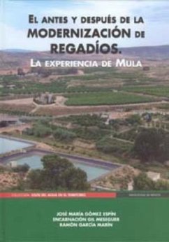 El antes y después de la modernización de regadíos : la experiencia de Mula - Gómez Espín, José María; Gil Meseguer, Encarnación