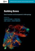 Building Bones: Bone Formation and Development in Anthropology (eBook, PDF)
